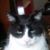 Tim Ostrander's profile image