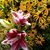 Mary Erb's profile image