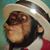 Bogus BogussyMrbogus's profile image