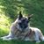 Gayle DeSantis's profile image