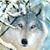 Wanda Morning-Taybron's profile image