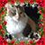 Barbara Stealey's profile image