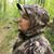 Courtney Citrangolo's profile image