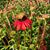 Jessica Isabeau's profile image