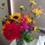 Linda Stauffer's profile image