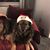 Darlene Devine McCullough's profile image