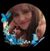 Toni Johnson's profile image