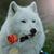 Kathleen M. Richards's profile image