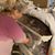 Brenda Nealy's profile image