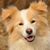 Christina Lang's profile image