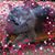 Missy McGee's profile image