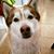 Lorinda Esparza's profile image