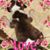 Angela Fiorani's profile image