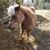 Karla M Derenne's profile image