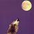 Jim Carucci Sr.'s profile image