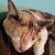 Kim Bennett's profile image