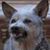 Tim Shafer's profile image