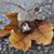 Debbie-Dee Koehler-Slawek's profile image