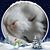 Kathryn Simpson's profile image
