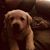 Hailey Dote's profile image