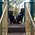 Cindy Ann McManus's profile image