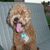 Manny Buenaventura's profile image