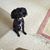 Nadine Livesey's profile image