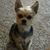 Rosemary Brown's profile image