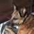 Sandy Garside's profile image