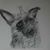 Pegi Convry's profile image