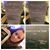 Sarah Peifer SP's profile image