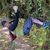 James Canata's profile image