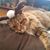 Marlene Miller's profile image