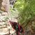 Joellyn Morrisville's profile image