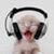Susan Flory's profile image