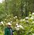 Paul Landrus's profile image