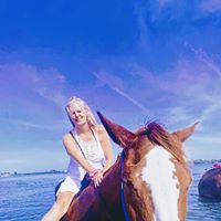Vicky Ranieri Betts's profile image