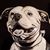 Pit Serge's profile image
