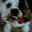 Rachel Blumer's profile image