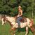 Els Van Ackerbroeck's profile image