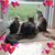 Kathy Fay's profile image