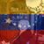 Maria E. Villamizar Tärre's profile image