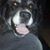 Reba Sadler's profile image