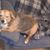 Larry Williamson's profile image