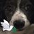 Wahs Leong's profile image