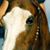 Tiana Smicklas's profile image