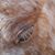 Audrey Herrlein Lucas's profile image