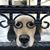 Andrea Peterson's profile image