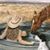 Angie Islas's profile image