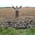 Steve Oesterle's profile image